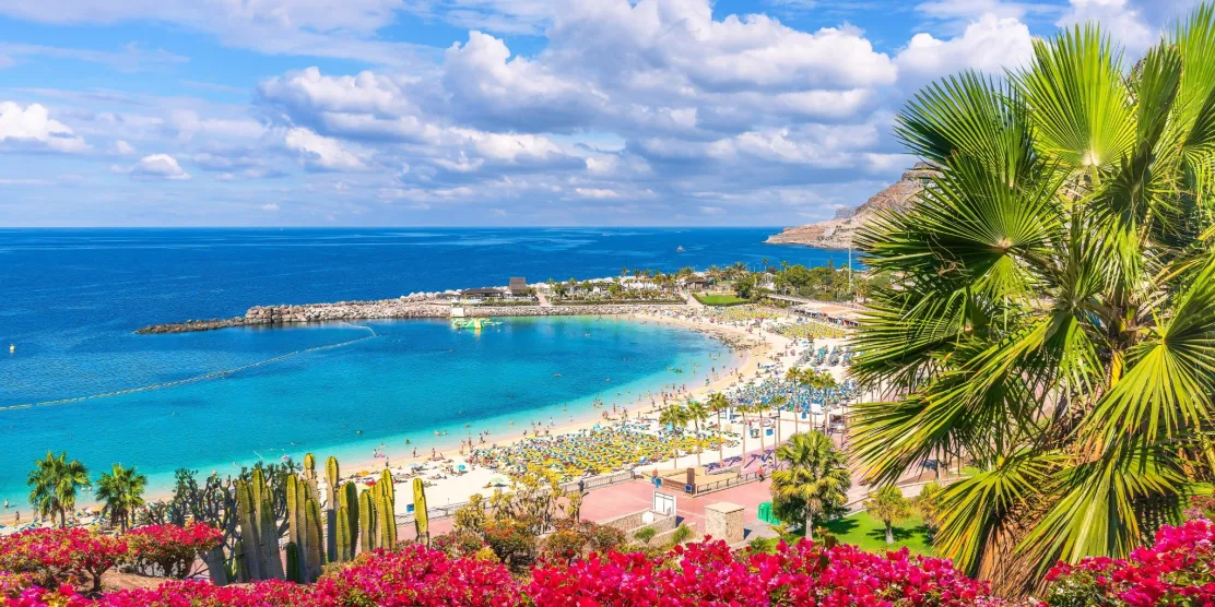 Sunny beach in Gran Canaria in December with turquoise sea and palm trees